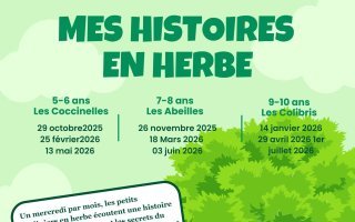HISTOIRE EN HERBE