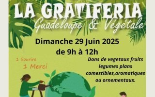 La Gratiferia au Lamentin !
