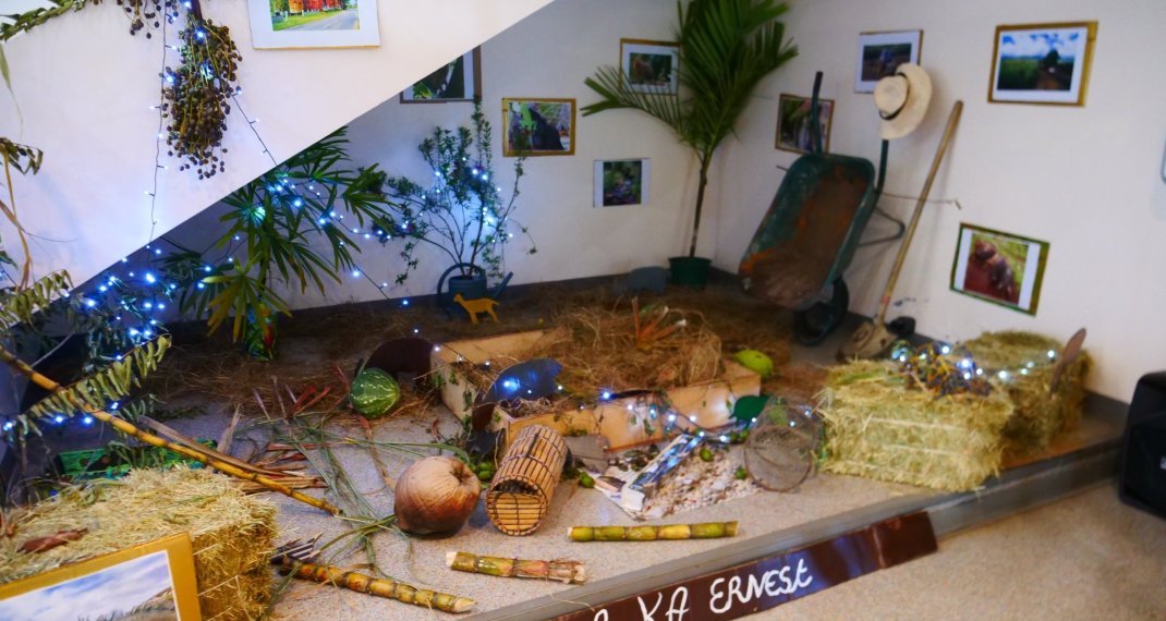 Retour sur le samedi 24 janvier – Nuits de la lecture 2026 