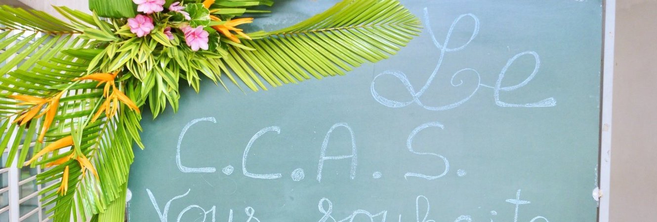 Le Centre communal d'actions social (CCAS)