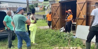 Les plantations au jardin situé à Crâne