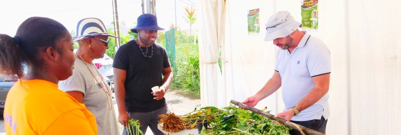 NOU KA PLANTÉ POU NOU Mangé é Doubout 