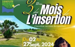 3ème édition du mois de l'insertion