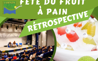 Deux journées riches en échanges et découvertes autour du fruit à pain !
