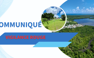 VIGILANCE ROUGE