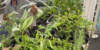 Festi' Marché - mois de Mars