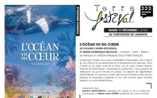 Explorez les profondeurs de l'océan avec le Terra Festiva !