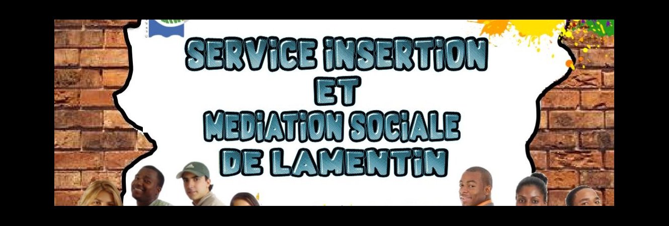Insertion et Médiation sociale