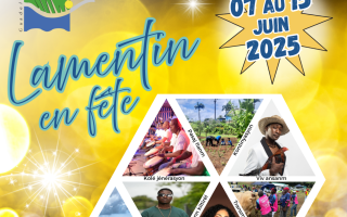 la Fête Patronale de Lamentin du 07 au 15 juin 2025
