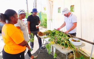 NOU KA PLANTÉ POU NOU Mangé é Doubout 