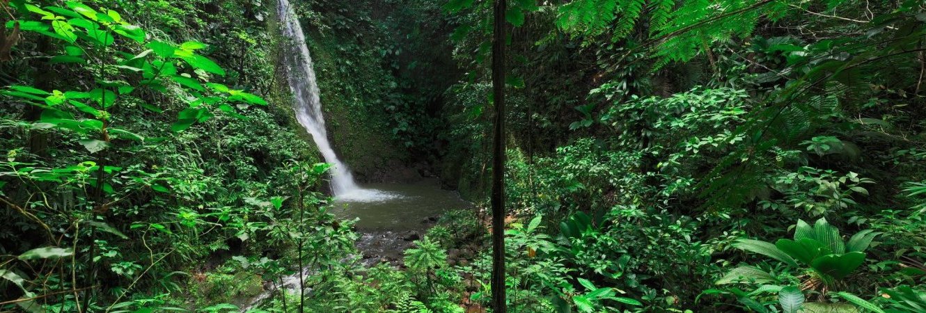 Développement durable à Lamentin