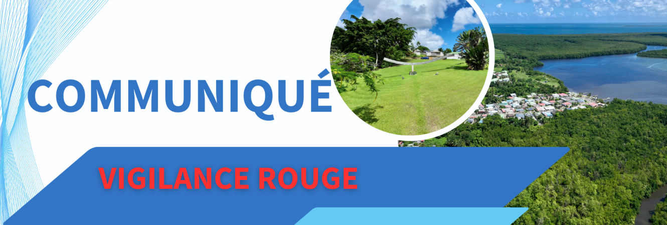 VIGILANCE ROUGE