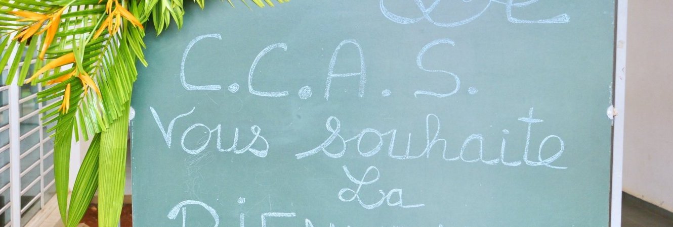 Le Centre Communal d'Action Sociale - CCAS