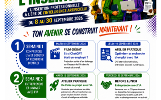 La 5ᵉ édition du Mois de l'Insertion arrive à Lamentin !